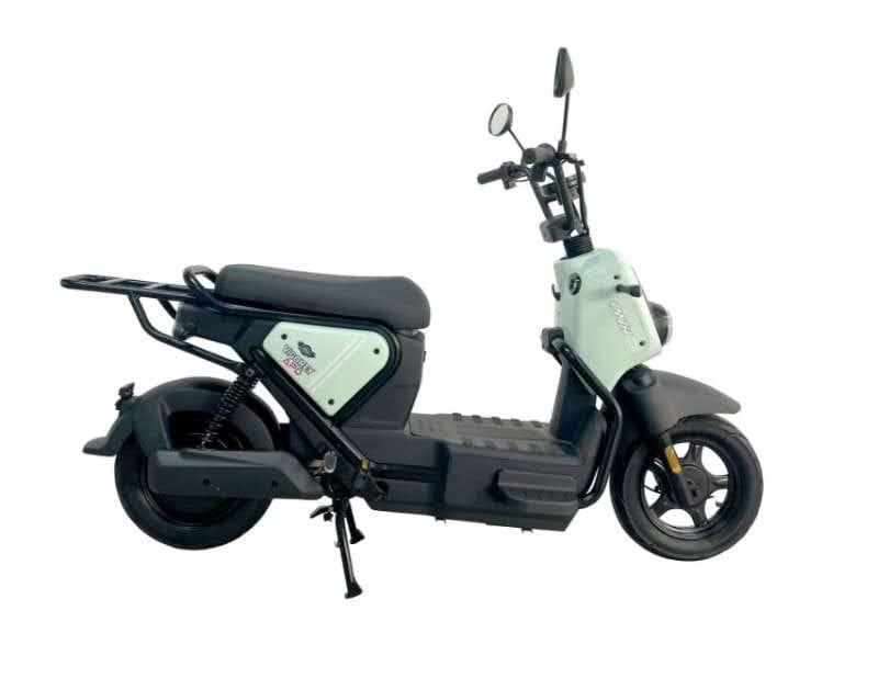 Electric Scooters