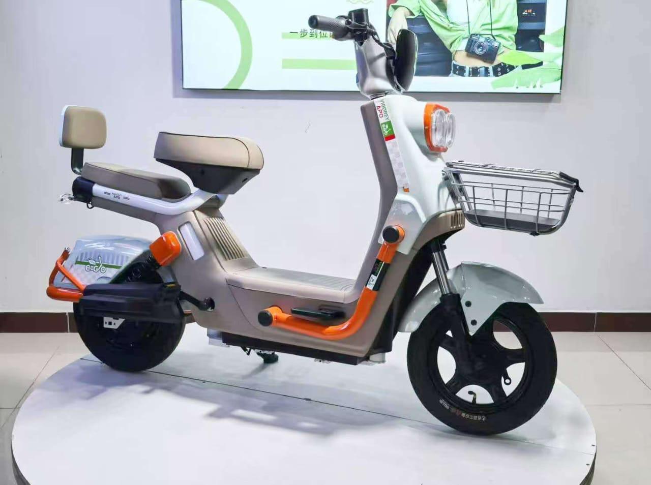 Electric Scooters
